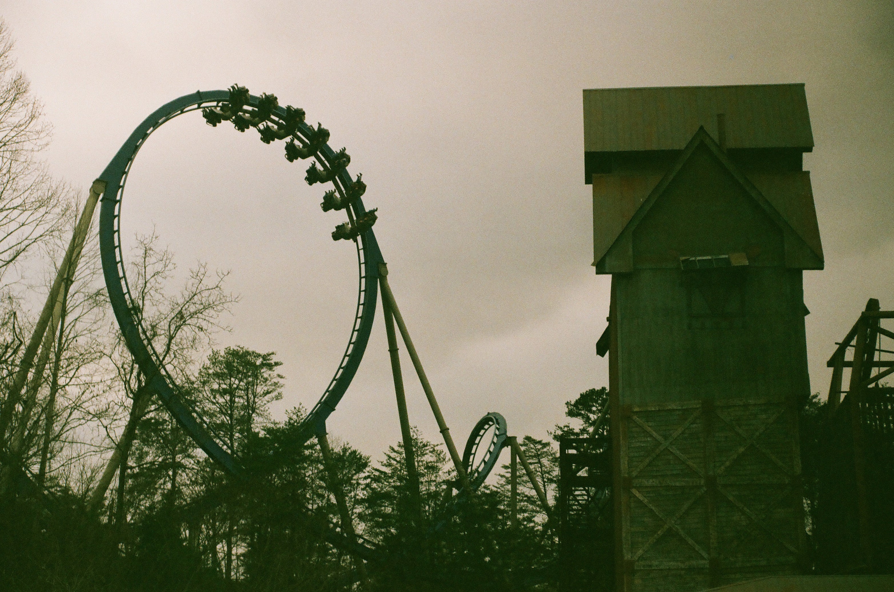 In The Loop by Chris Cryer