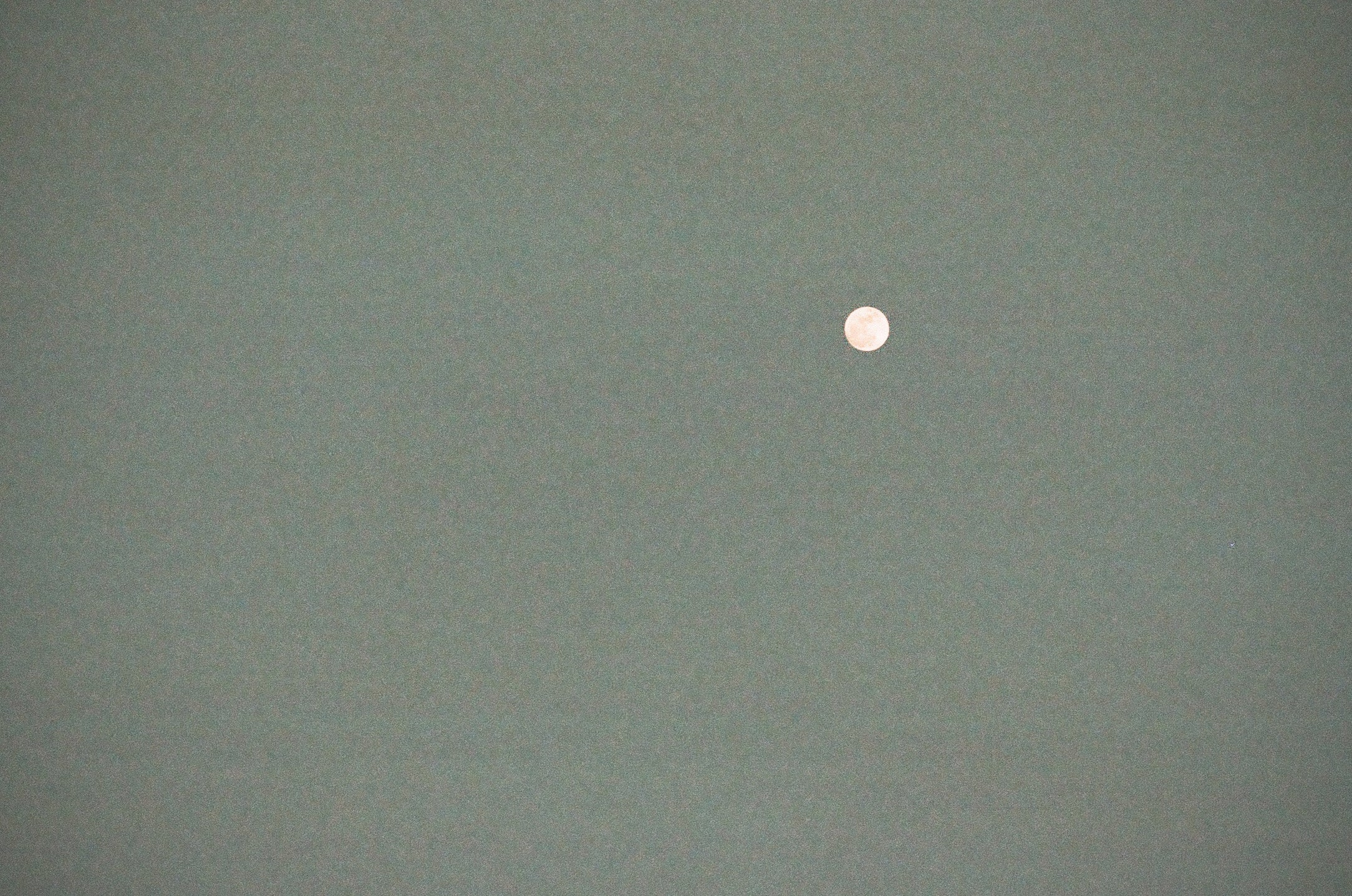 Little Full Moon by Chris Cryer