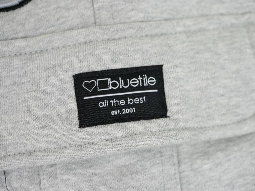 BLUETILE SURPLUS CHAMPION SWEATPANT - Image 2