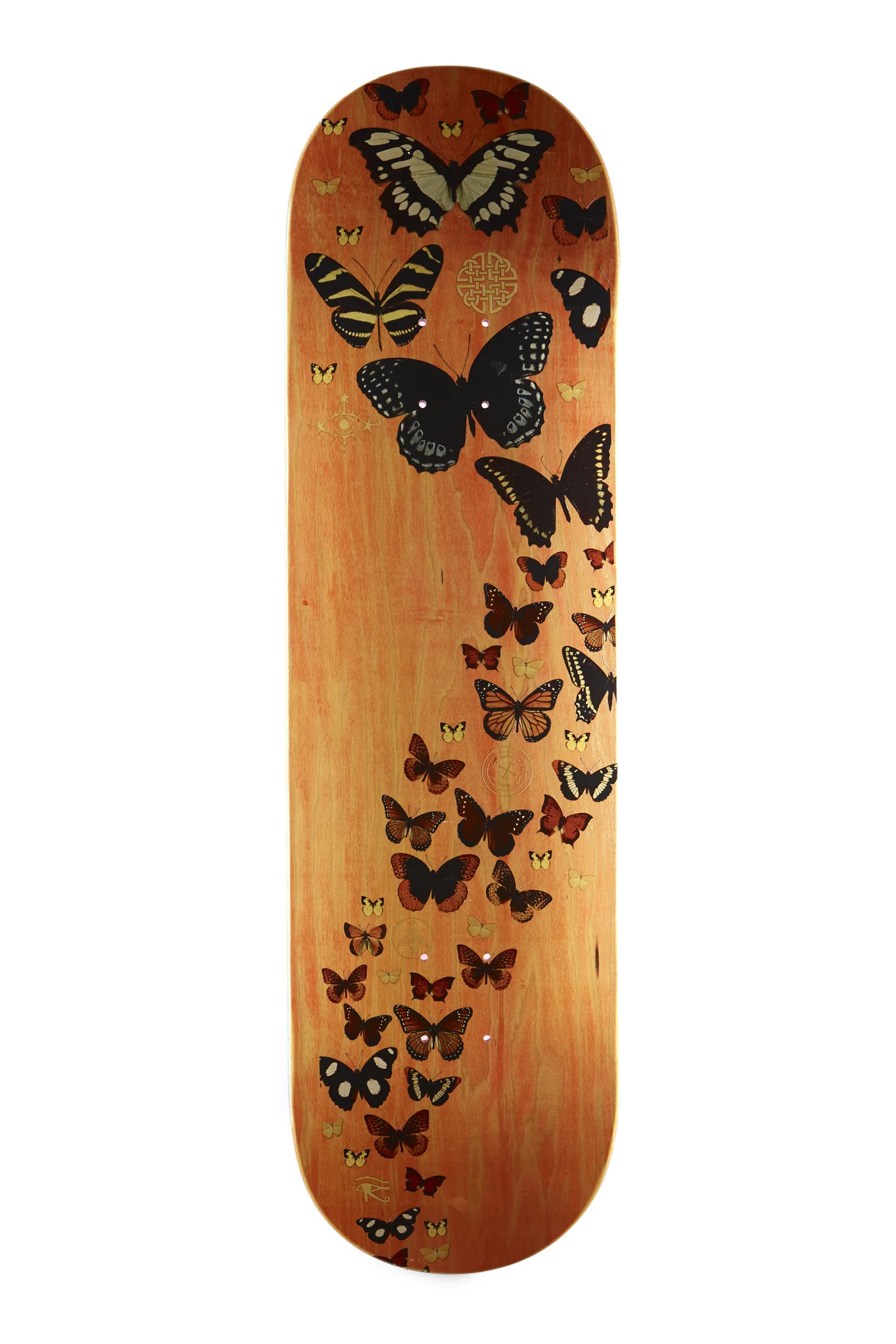 BUSINESS & COMPANY BUTTERFLIES 4 8.4 - Image 2