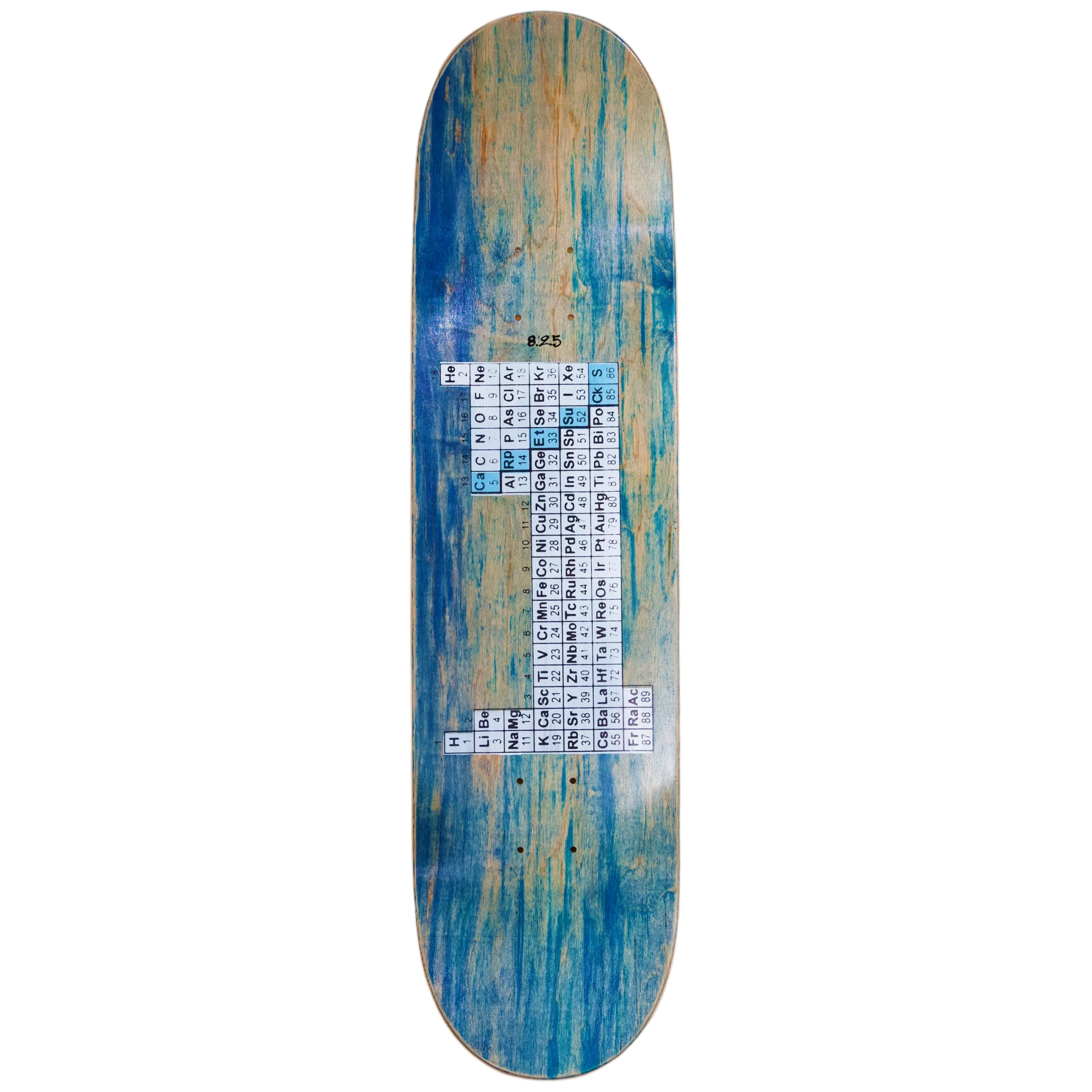 CARPET BACTERIA - Image 6
