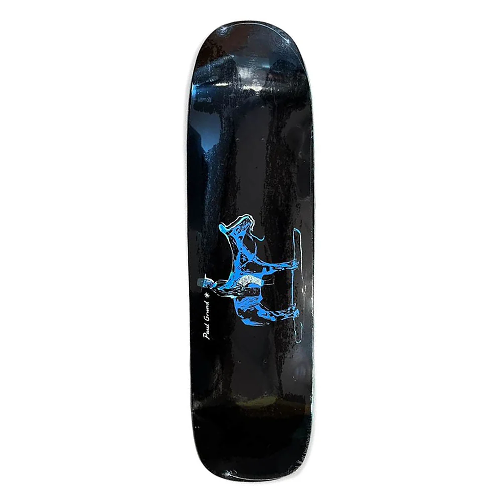 POLAR GRUND RIDER P9