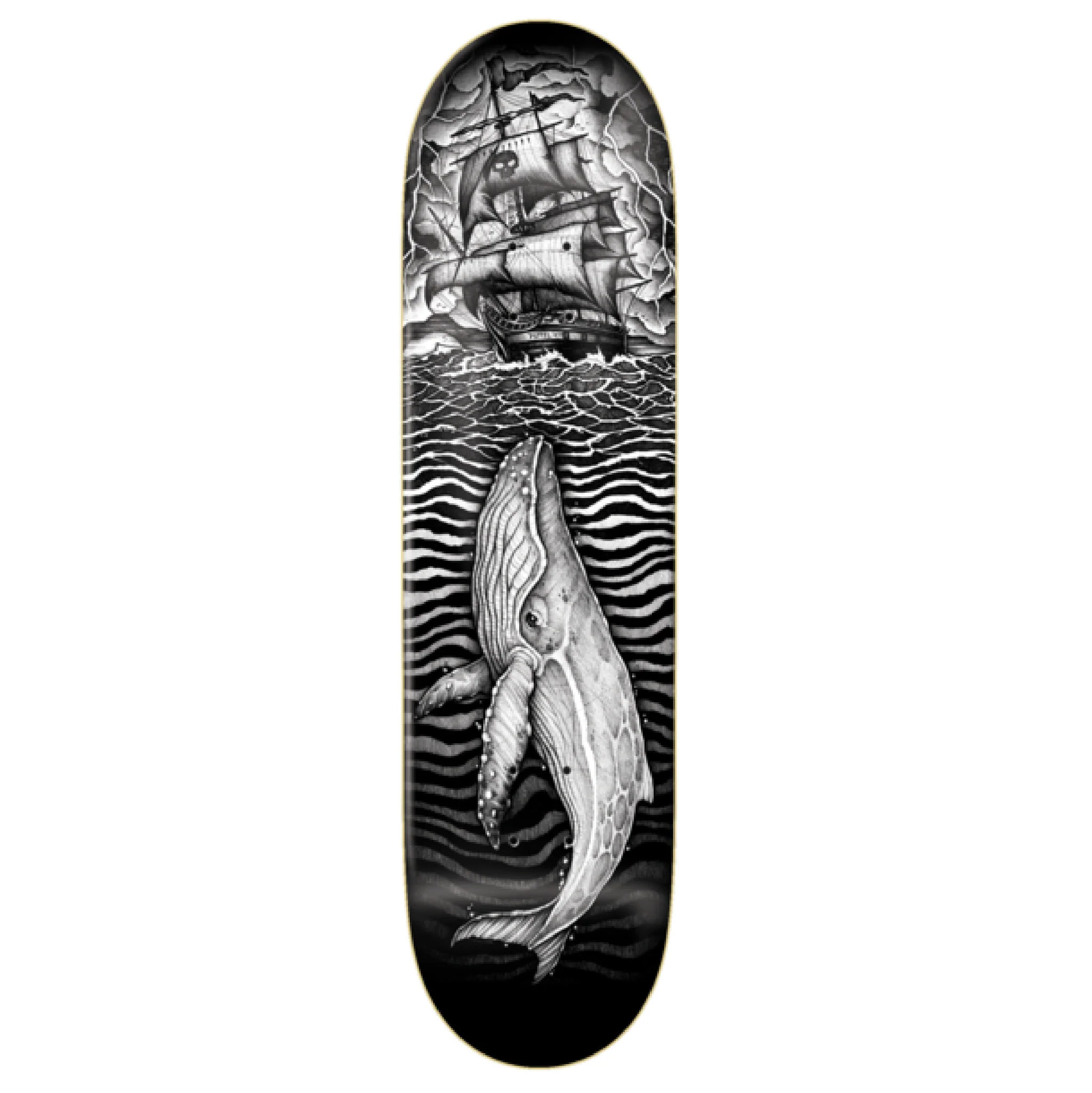 ZERO DUFFEL GUEST BOARD 8.4