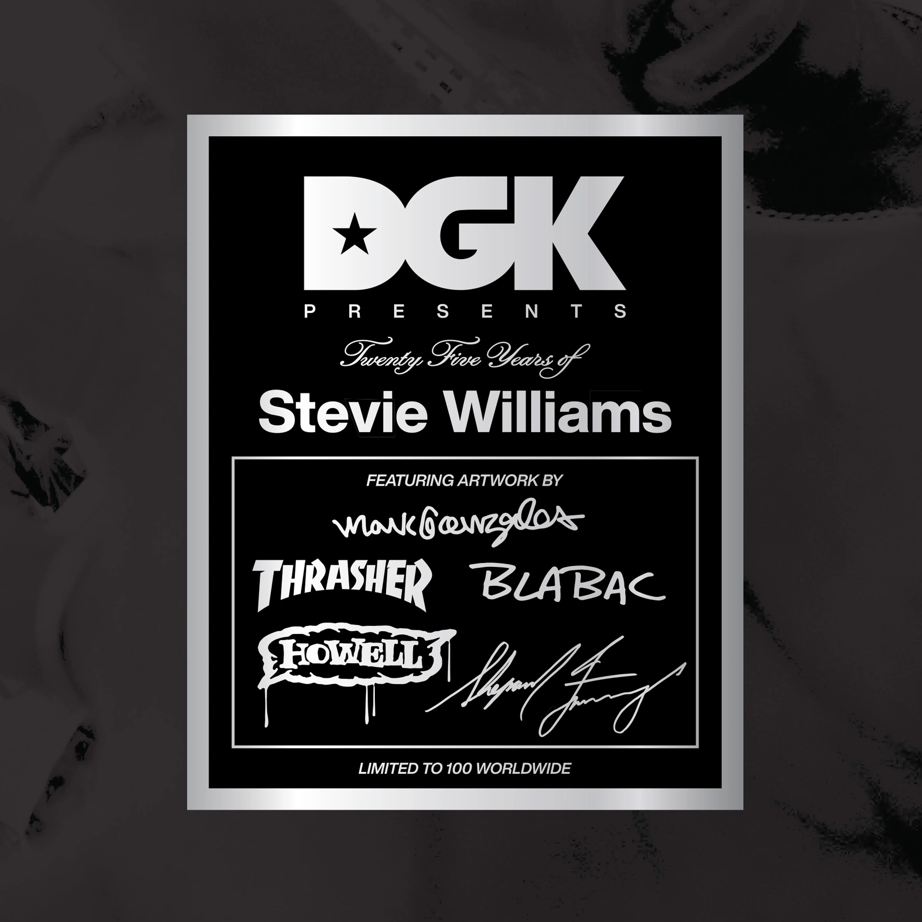 DGK 25 YEARS OF STEVIE WILLIAMS BLIND BAG - Image 2