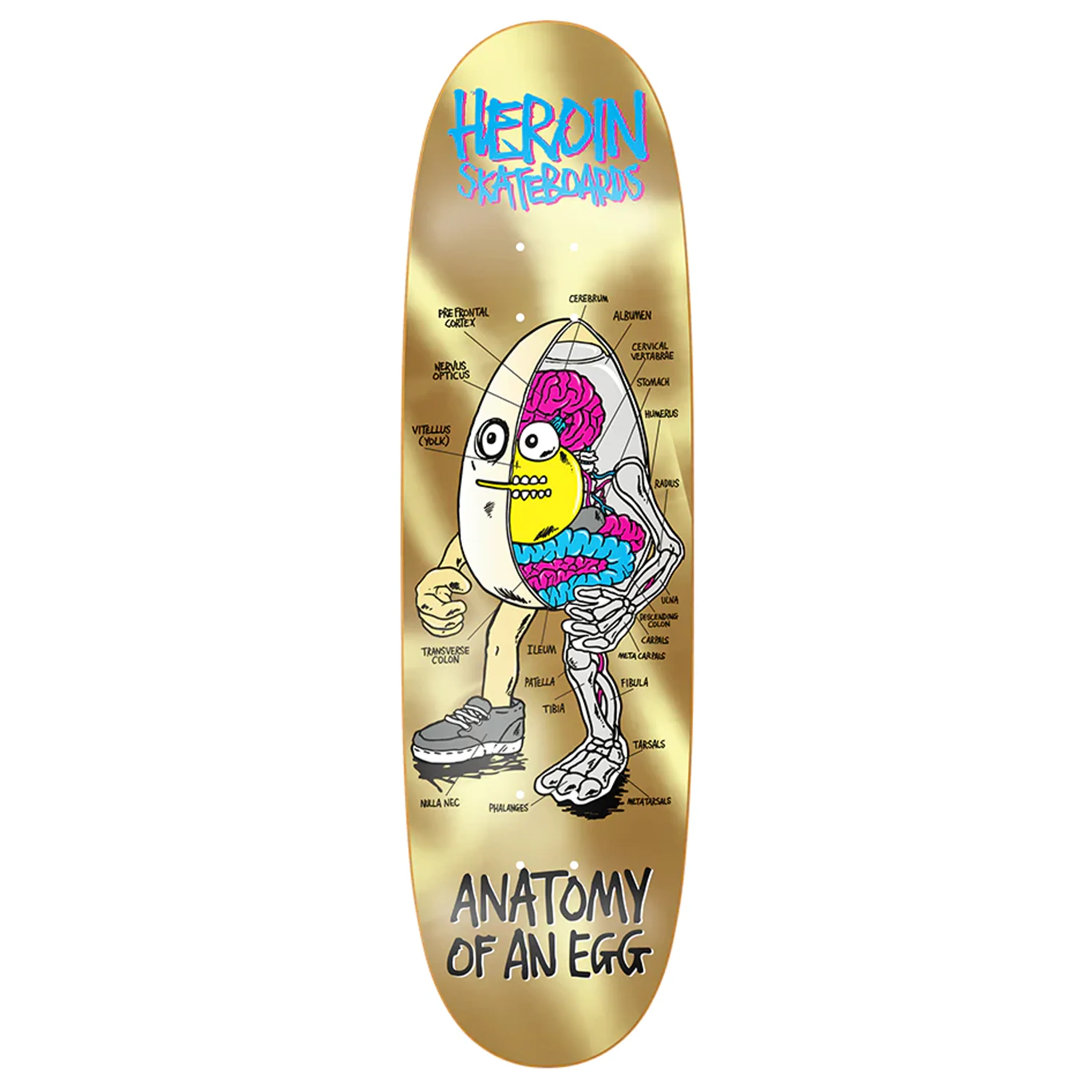 HEROIN ANATOMY EGG GOLD