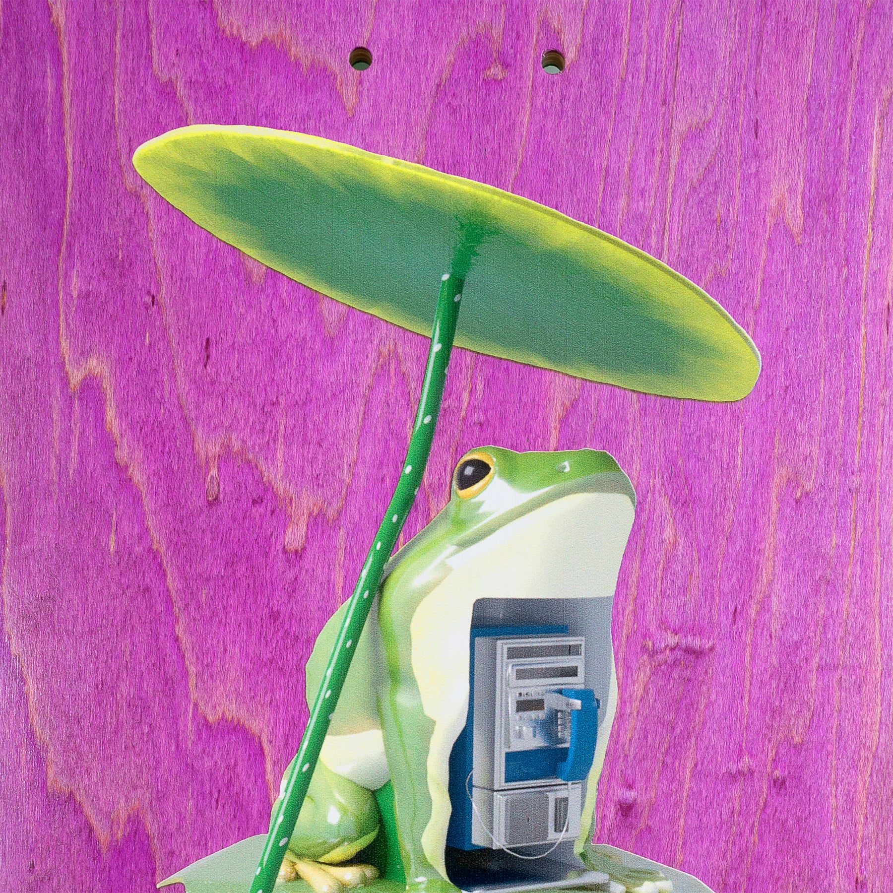 SCI-FI FANTASY ARIN LESTER PAY FROG - Image 3