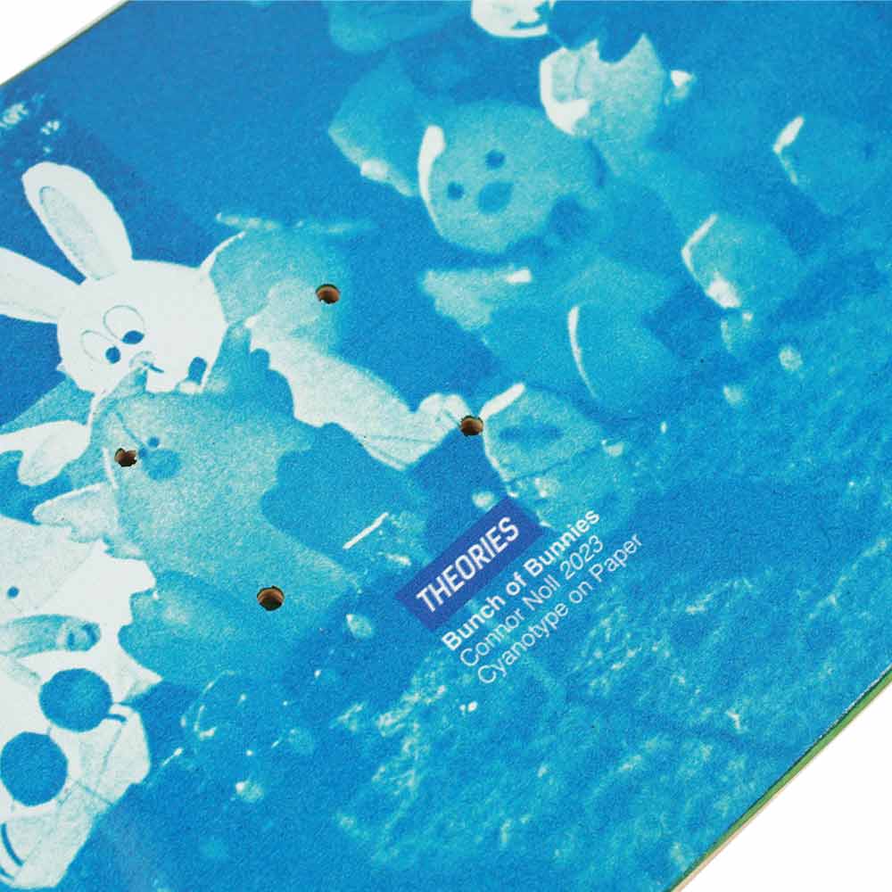 THEORIES CYANOTYPE - Image 2