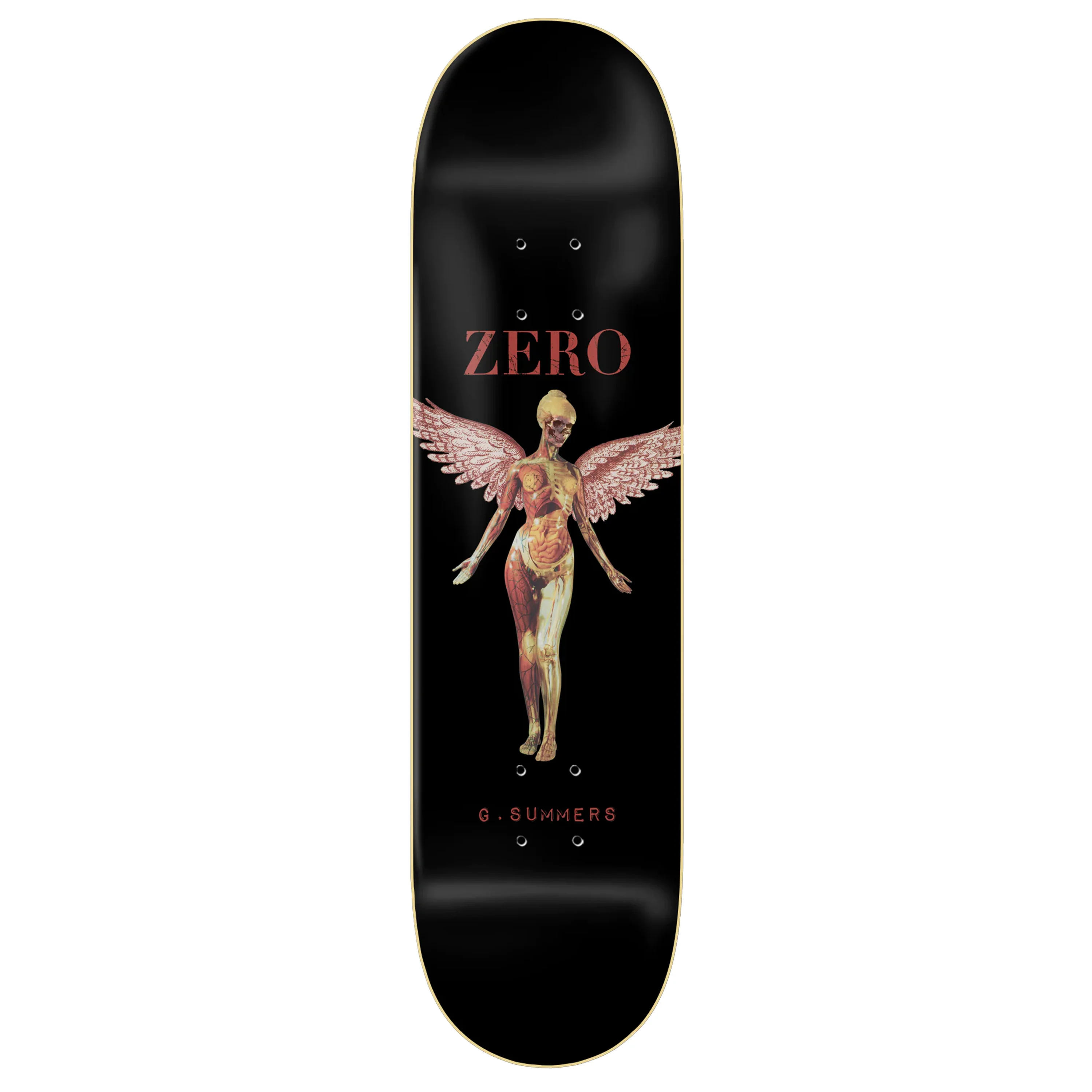 ZERO SUMMERS ANATOMY ANGEL